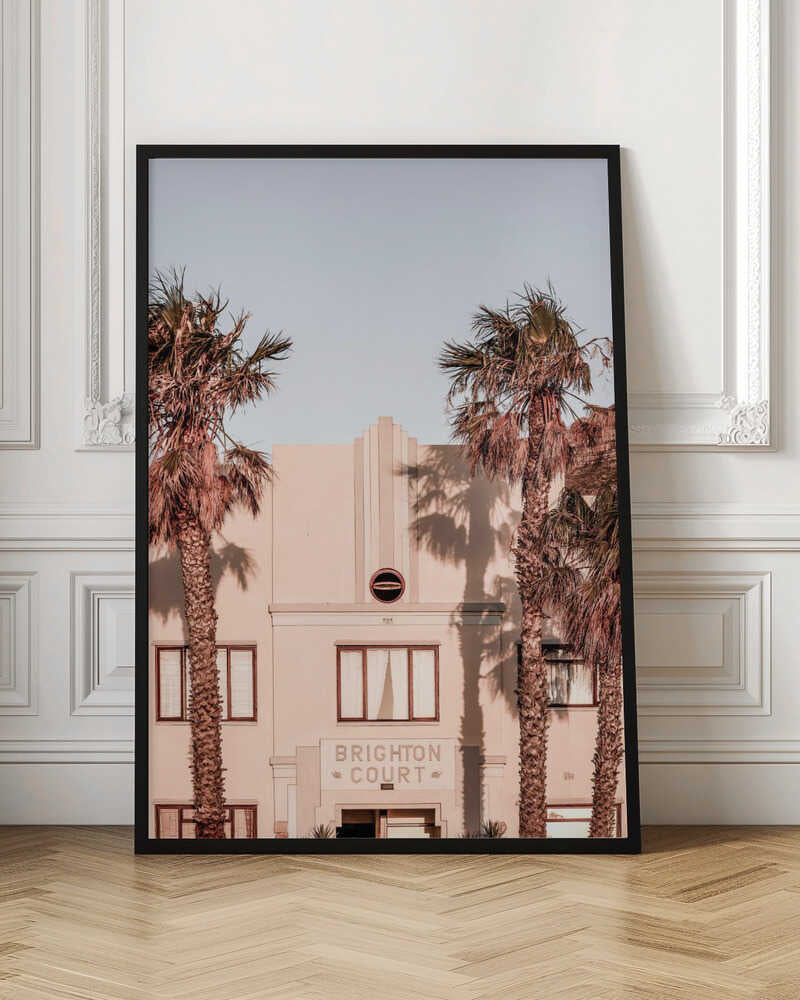 Palm Shadows Poster