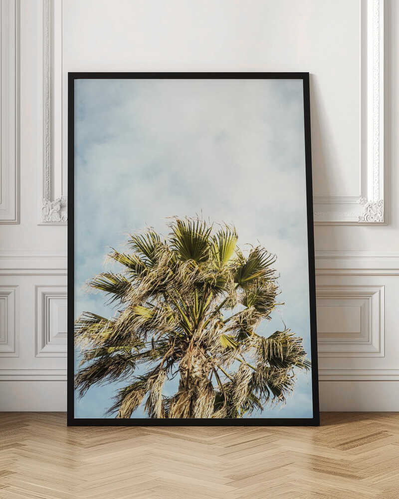Sunlit Fronds Poster