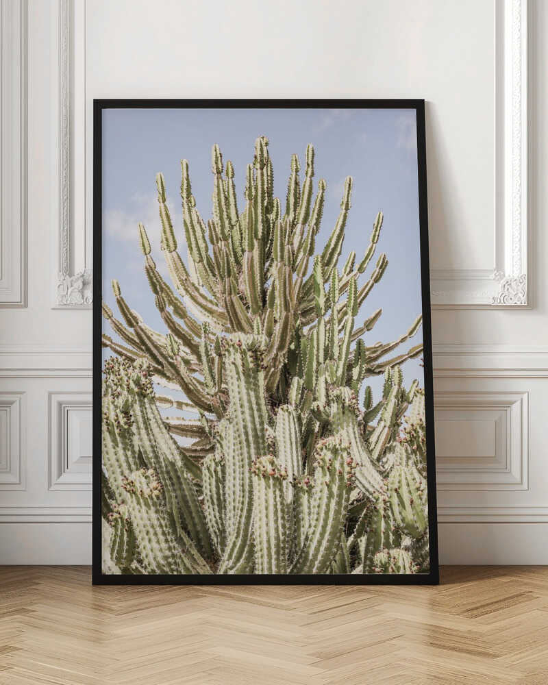 Cactus Symphony Poster