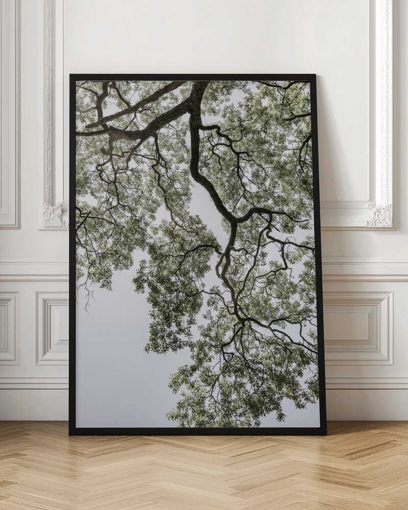 Ethereal Canopy Poster