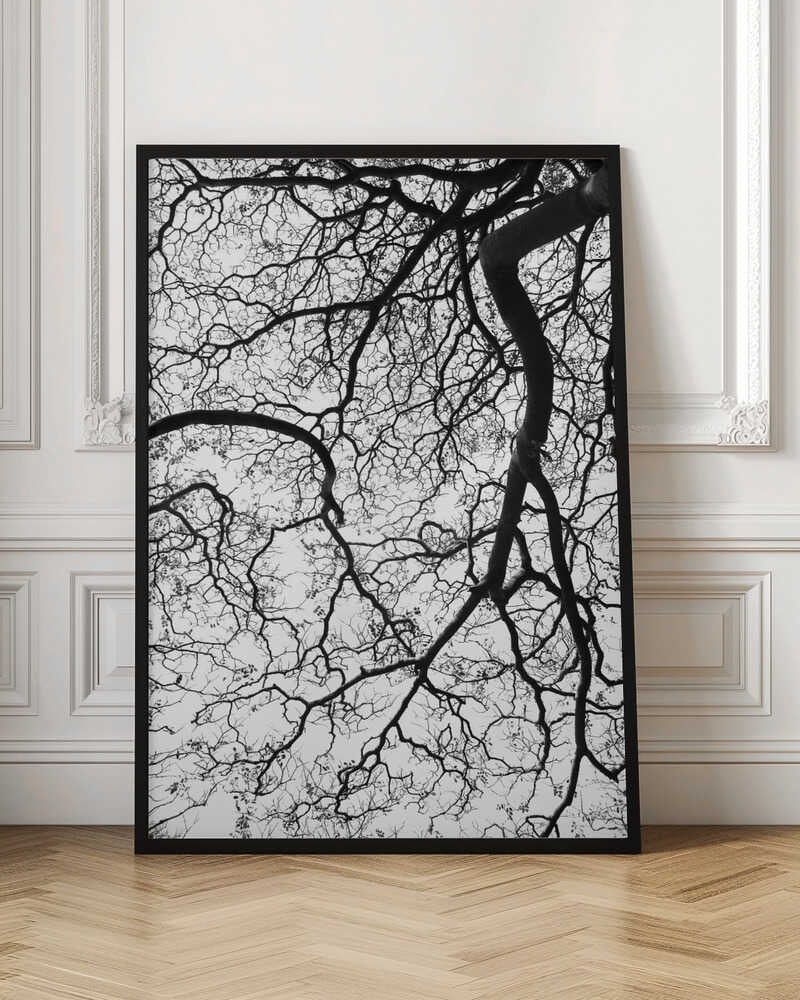 Branches' Dance Poster