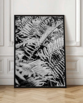 Whispering Ferns Poster