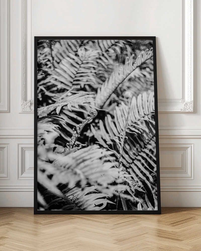 Whispering Ferns Poster