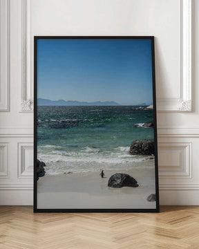 Penguin's Beach Walk Poster