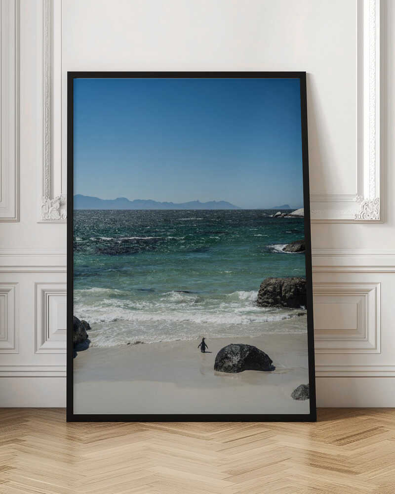 Penguin's Beach Walk Poster