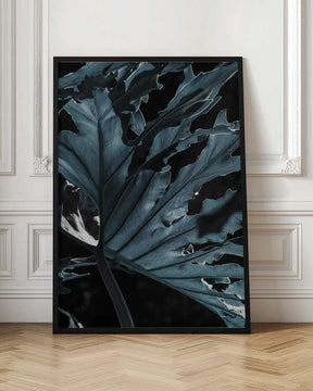 Leafy Shadowscape Poster
