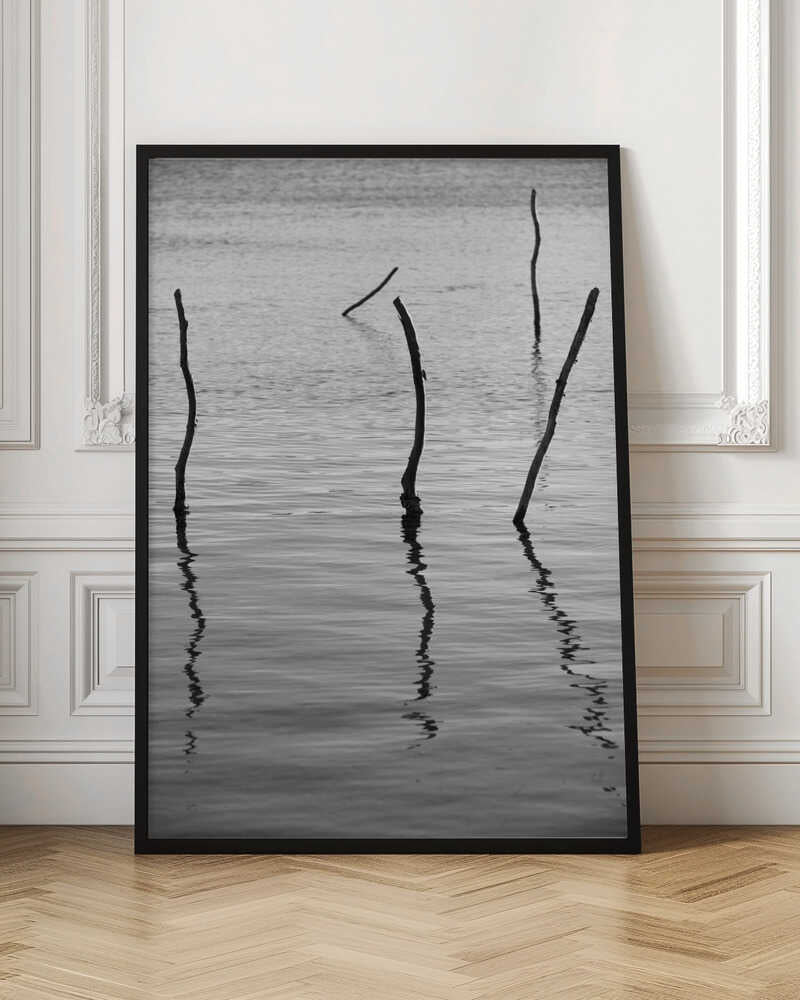 Silent Reflections Poster