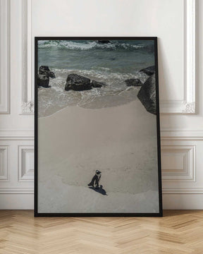 Lonely Beach Stroll Poster