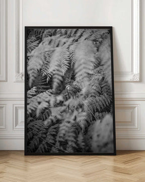 Black And White Photograph Poster