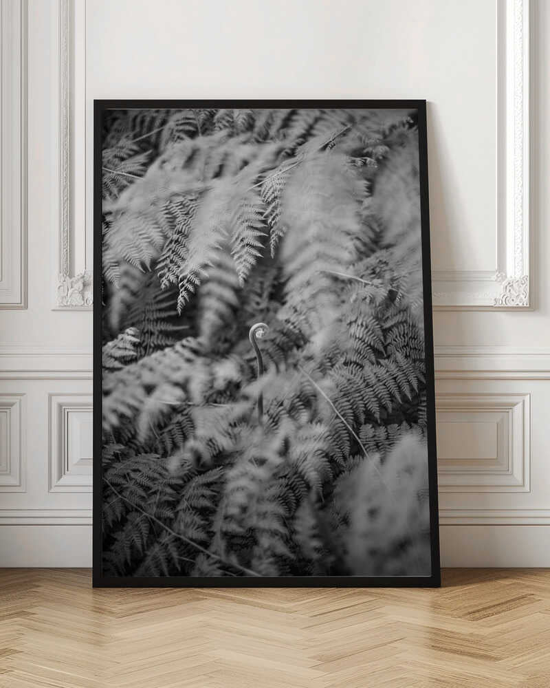 Black And White Photograph Poster