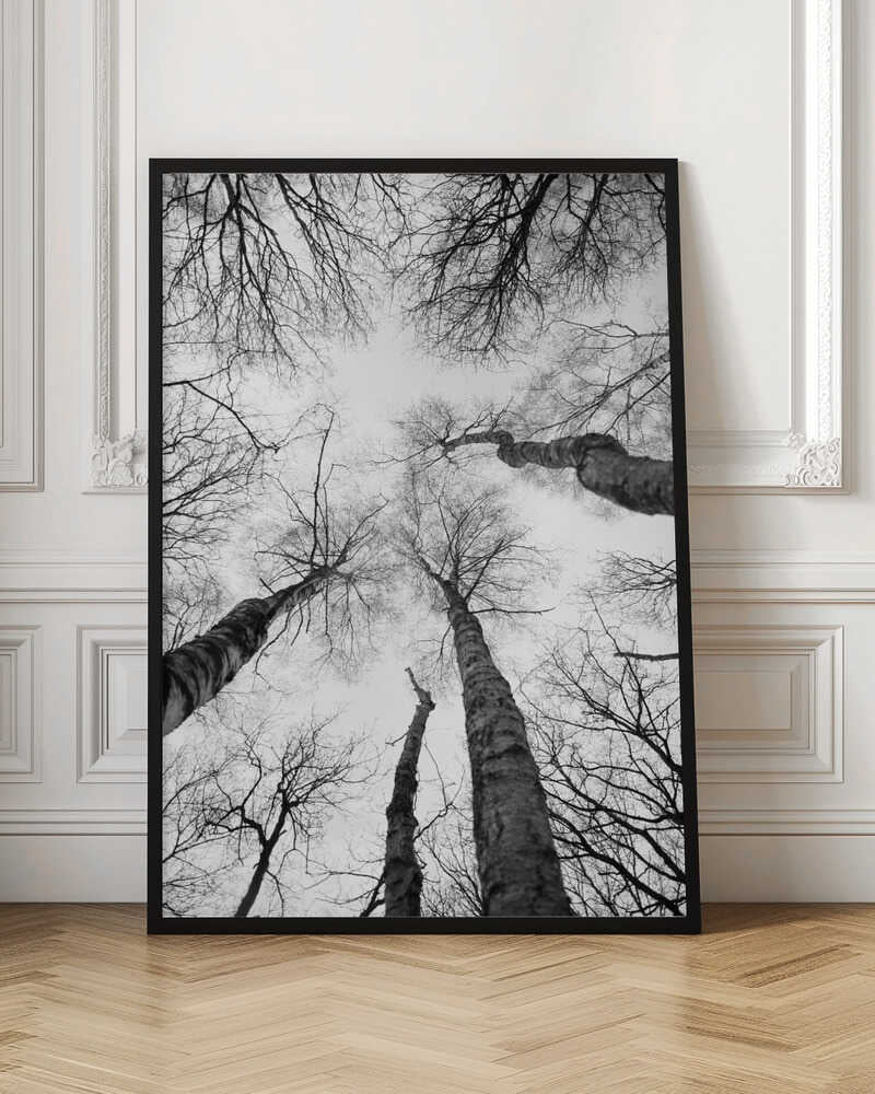 Reaching Branches Poster