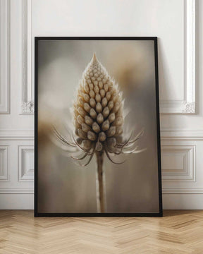 Budding Elegance Poster