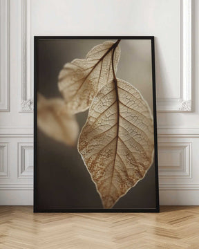 Ethereal Leaves Poster
