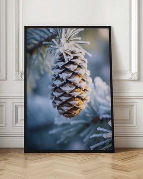 Frosty Pinecone Burst Poster
