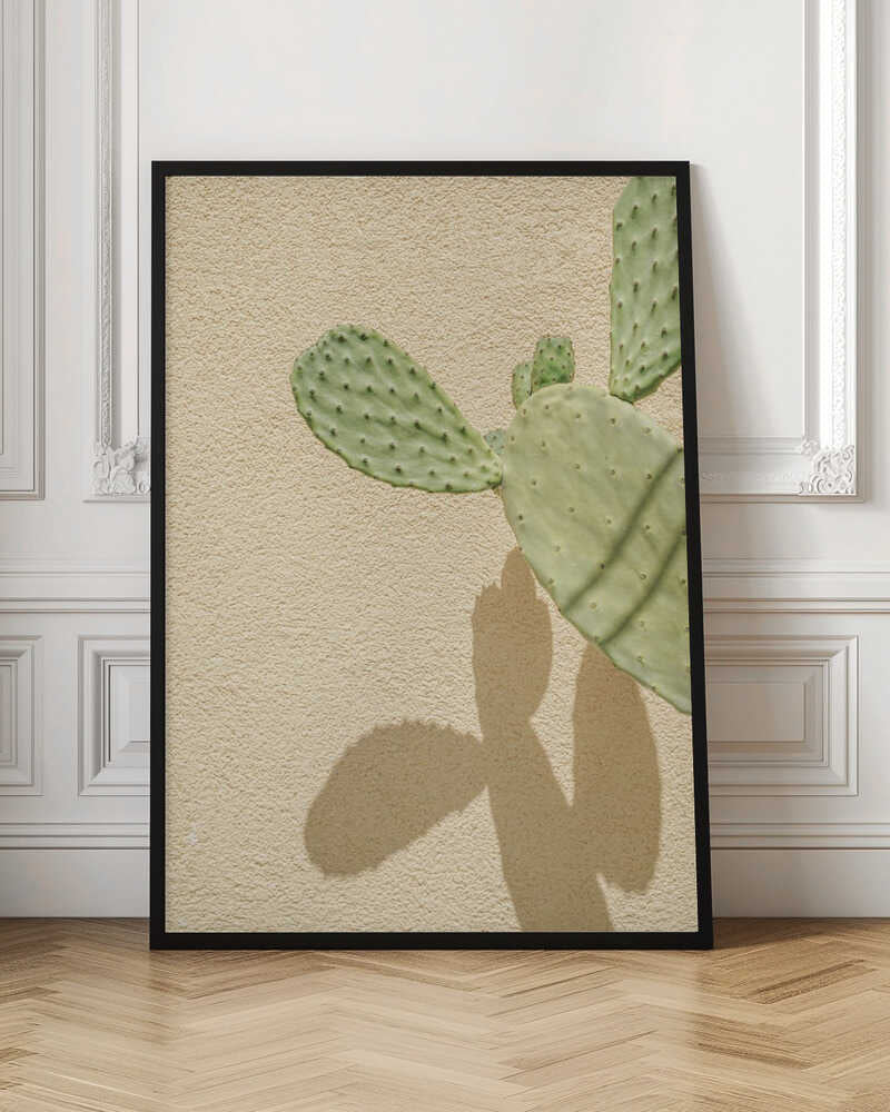 Cacti Shadowplay Poster