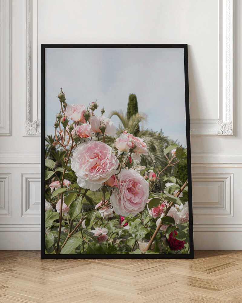 Garden Roses Poster