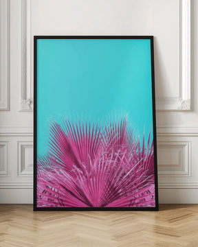 Electric Pink Palm Fronds