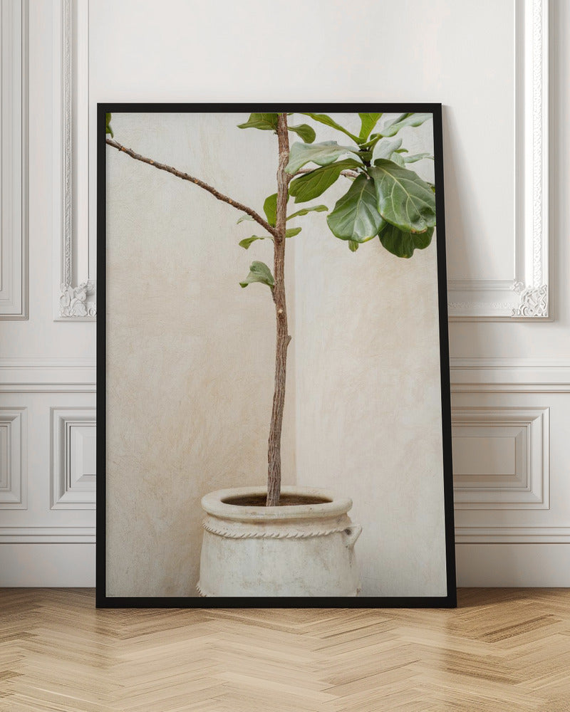 Tree In a Pot Poster