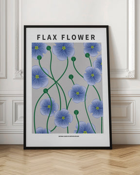 Flax flower - National flower of Ireland Poster