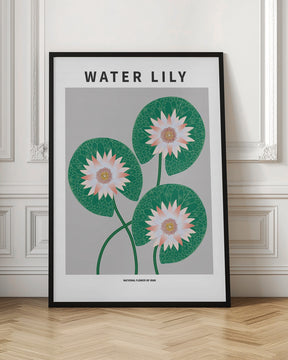 Water Lily - National flower of Iran Poster