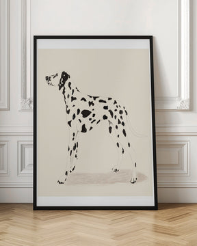 Pandc Dalmation Poster