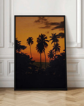 Squiggly Palm Sunset Poster