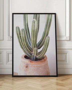 Prickly Poster