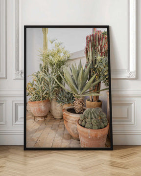 Garden with Various Potted Succulents and Cacti Poster