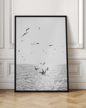 Seagulls At Sea Poster