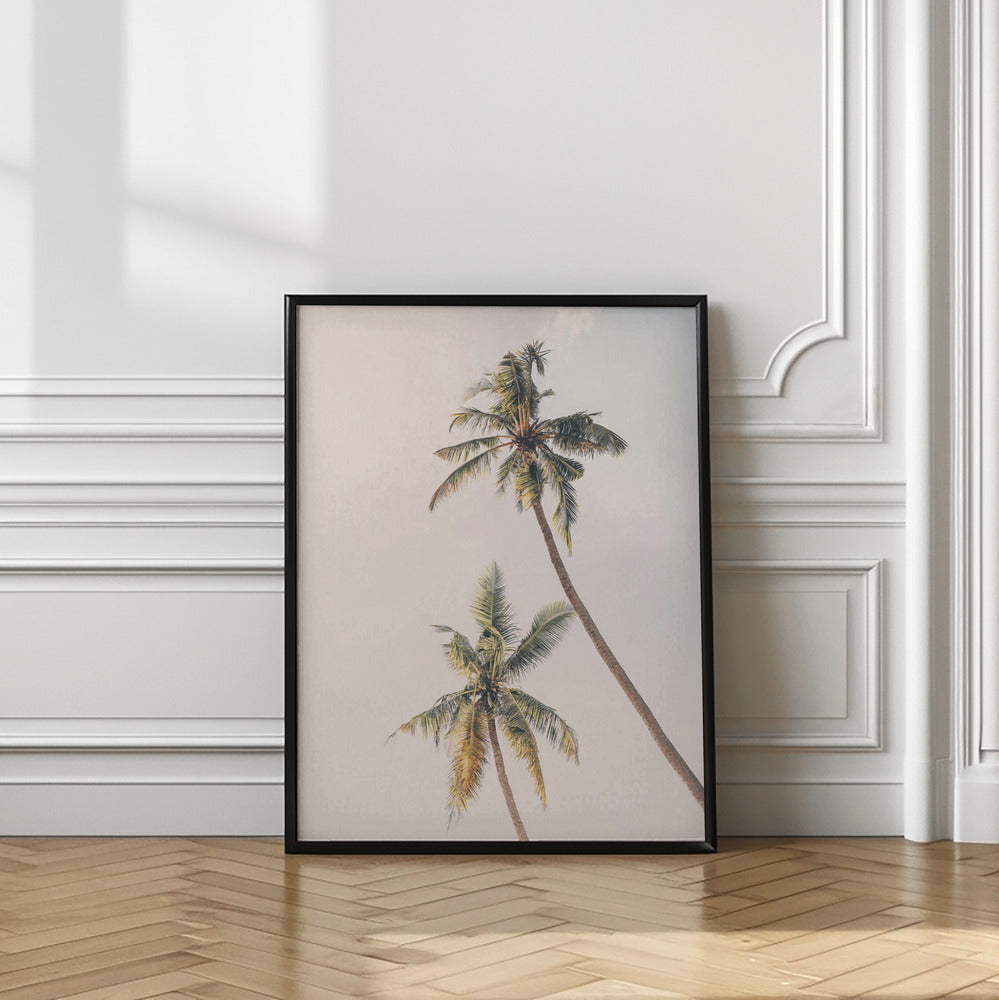 Tropical Palms Poster