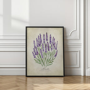 Lavender vintage Poster