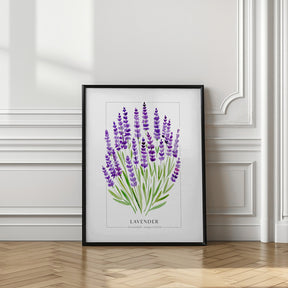 Lavender II Poster