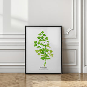 Parsley I Poster