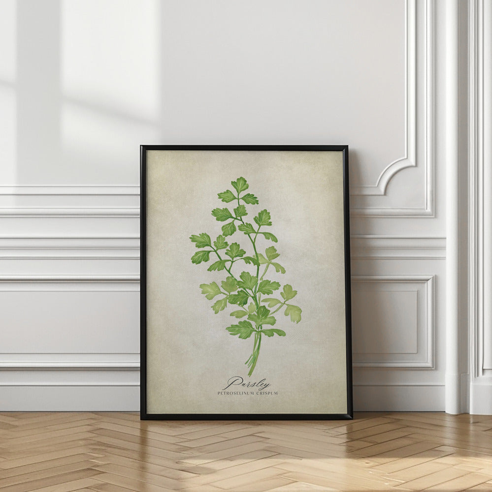 Parsley vintage Poster