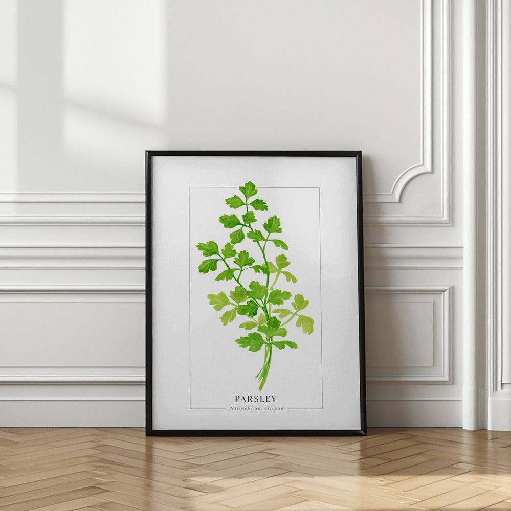 Parsley II Poster