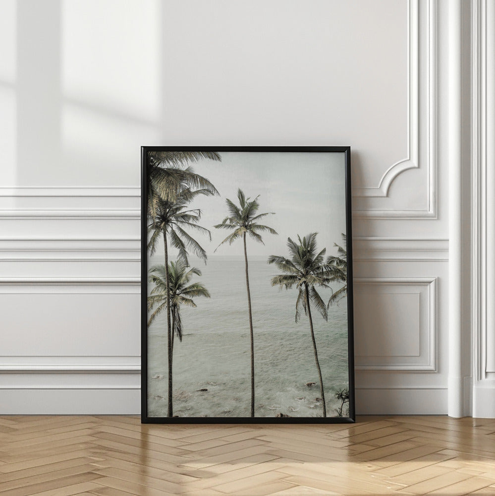 Tropical Dreams Poster