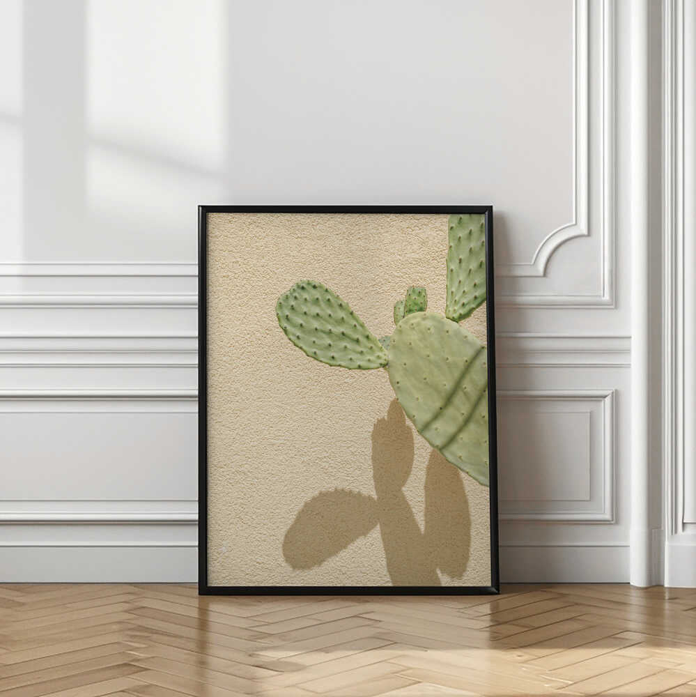Cacti Shadowplay Poster