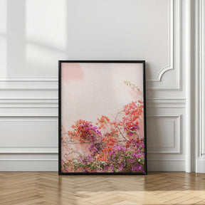 Pink Summer Poster
