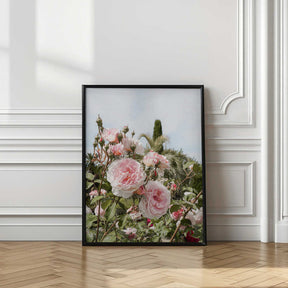 Garden Roses Poster