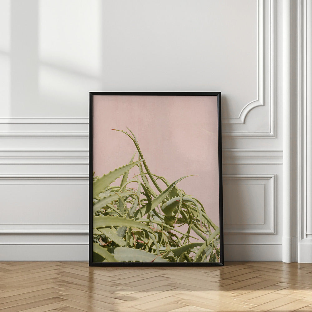 Cacti on Pink Poster