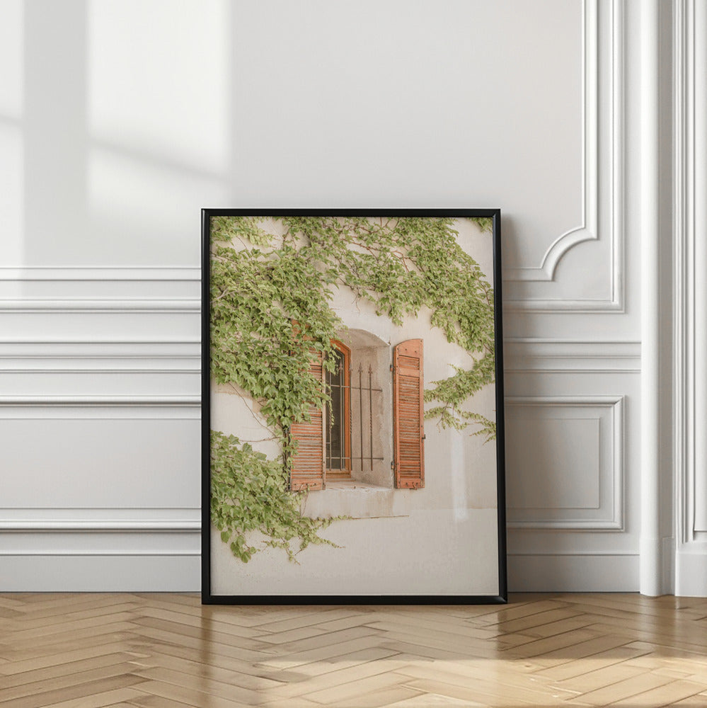 French Shutters Poster