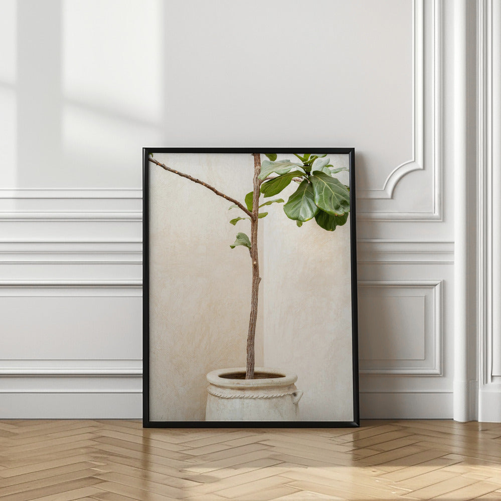 Tree In a Pot Poster