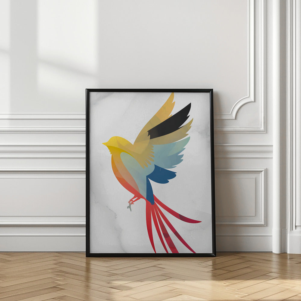 Colorful Bird Poster