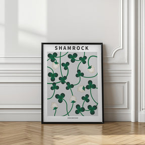 Shamrock - National flower of Ireland Poster