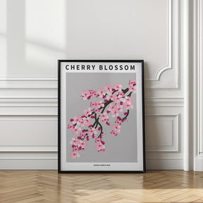 Cherry blossom - National flower of Japan Poster