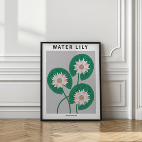 Water Lily - National flower of Iran Poster