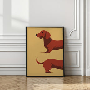 Dachshund Poster