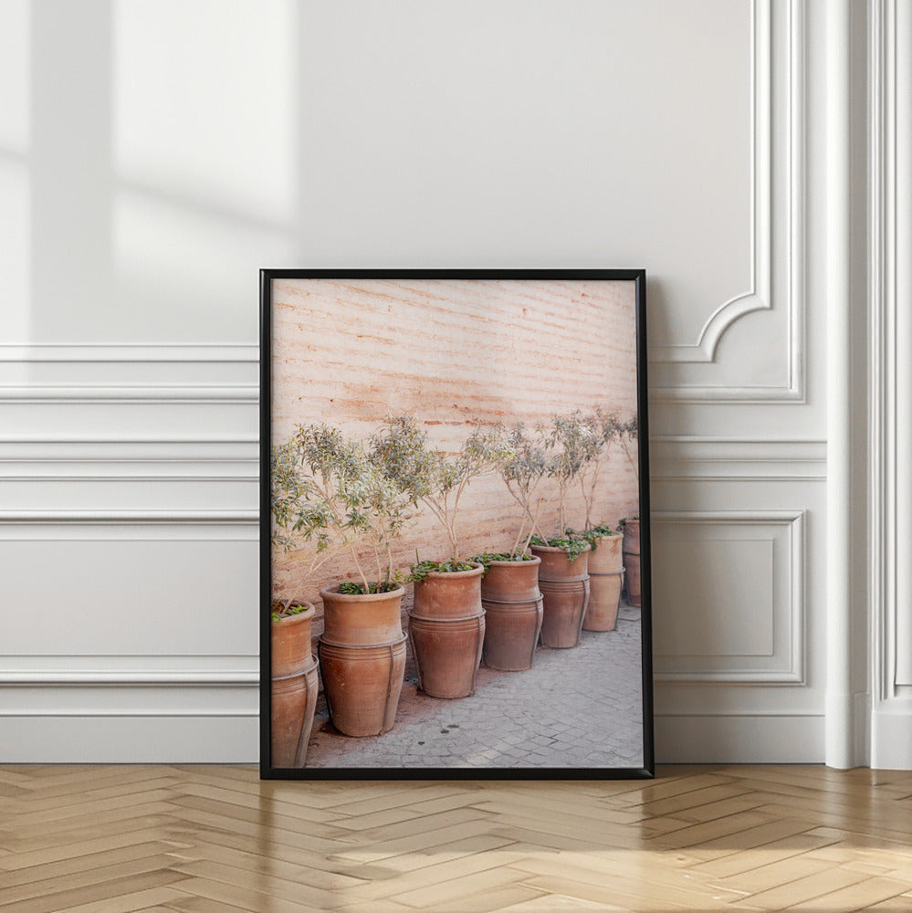 Terracotta Poster