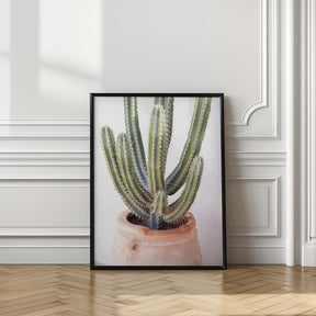 Prickly Poster