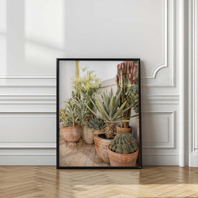 Garden with Various Potted Succulents and Cacti Poster